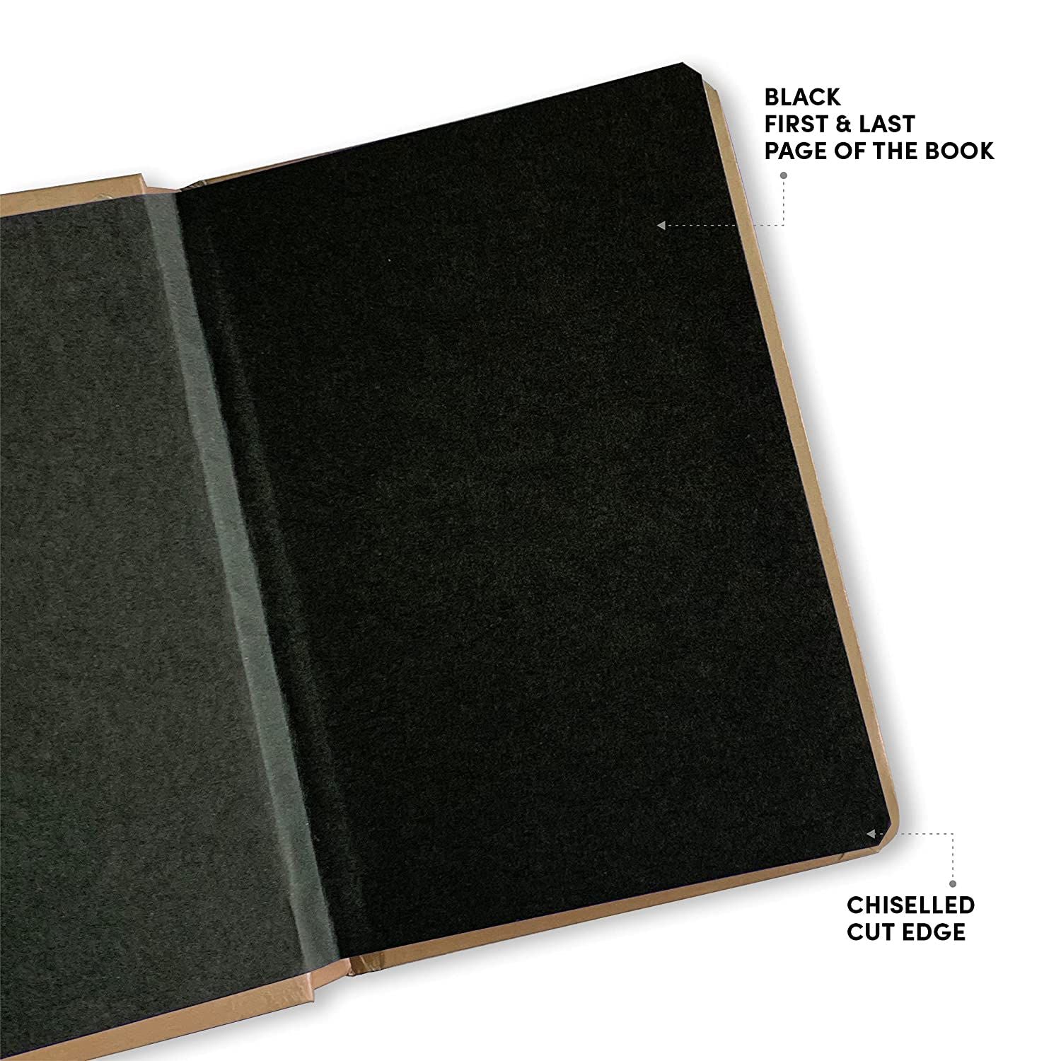 Mooch Diary Born To Travel